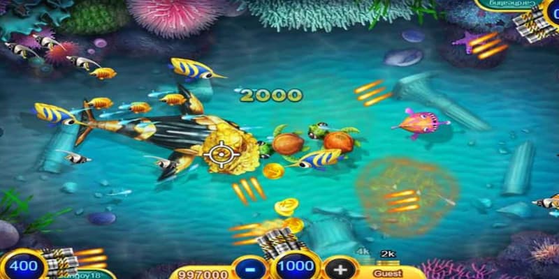 Kinh nghiệm thực tiễn và lưu ý khi áp dụng mẹo bắn cá Vua99