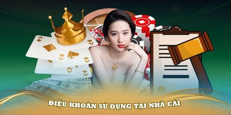 Những lưu ý khi đọc và chấp nhận điều khoản người dùng